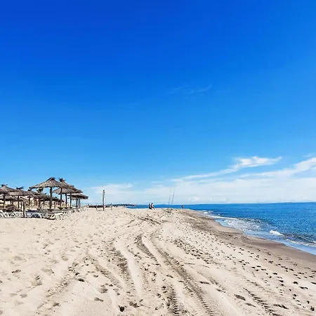 Caraibes-2 By Interhome Apartment Le Barcares